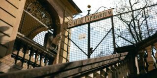 Städtisches_Lapidarium_25_c_SaeedKakavand-1006040