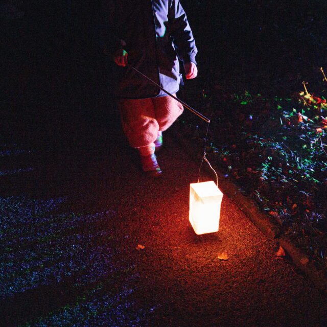 Städtisches Lapidarium, Öffentliche Laternen-Führung