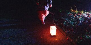20241129_Winterlichter-Lapidarium_0038