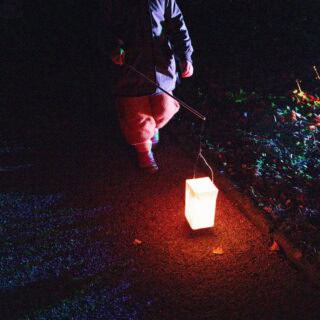 20241129_Winterlichter-Lapidarium_0038
