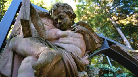 Städtisches Lapidarium, Objekte & Skulpturen