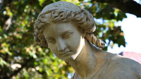 Städtisches Lapidarium, Objekte & Skulpturen